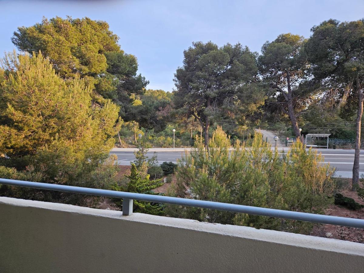 Festival Village Σαλού Εξωτερικό φωτογραφία