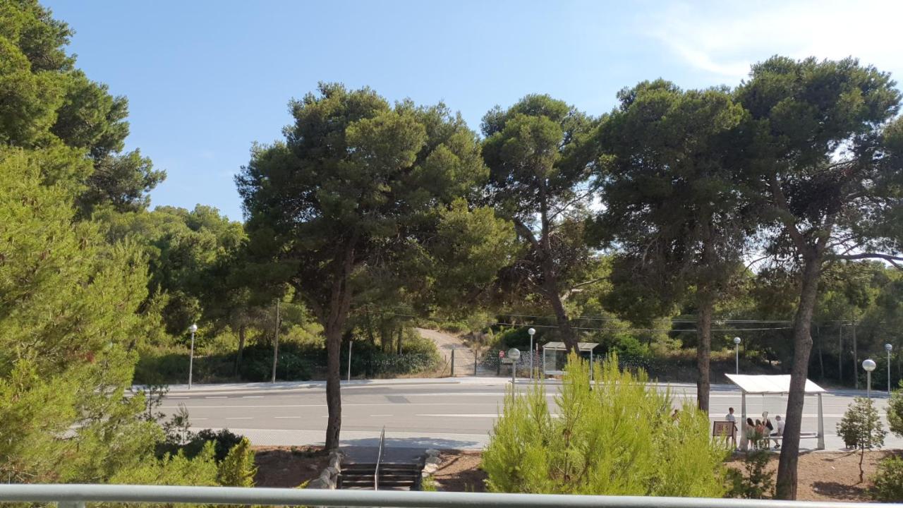 Festival Village Σαλού Εξωτερικό φωτογραφία